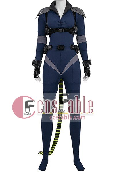 The Batman Catwoman Selina Kyle Suit Cosplay