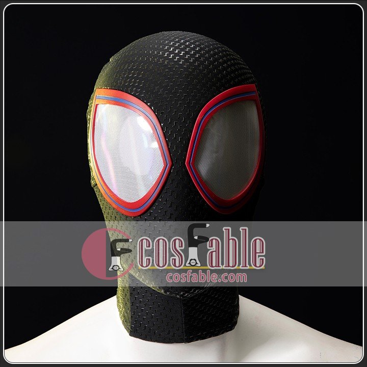 Spider-Verse Costume