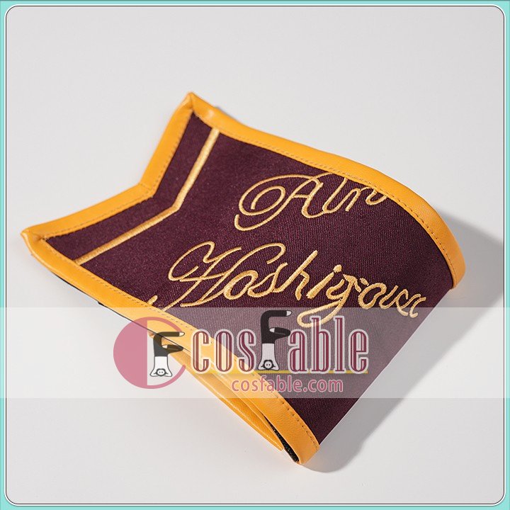 Anime Character Cosplay Costume