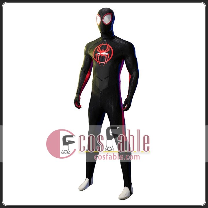Spider-Verse Cosplay Costume