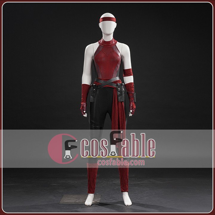 Elektra Cosplay Costume