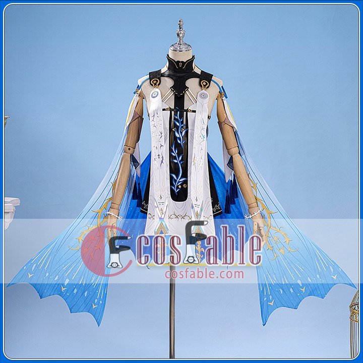 Cartethyia Cosplay Costume